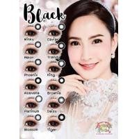 ราคา มีค่าสายตา สุ่มบิ๊กอาย Pretty doll Sweety plus Lollipop Winks Black แบบบิ๊กอาย ตาโต สีดำ 1คู่ บิ๊กอายสายตาปกติและสั้น 0 00 10 00 แถมตลับฟรี รหัสสินค้า 045 (9127789679)