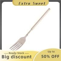 ราคา HOT SALE Extra Sweet ช้อนสแตนเลสยืดหดได้สีเงินช้อนอาหารเย็นผลไม้ของหวานส้อมเนื้อบาร์บีคิวอุปกรณ์ใช้งานได้จริง (22848555766)