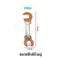 ราคา ซื้อ 10 แพ็ค ลด 50 Chang แพ็ค 10 100 เส้น ฟิวส์ก้ามปู ใช้ได้ทั้ง คัทเอาท์ 2P 3P ฟิวส์ ระบบไฟฟ้า ทองแดงแท้ 100 เลือกขนาด 30A 60A 100A (22586757353)