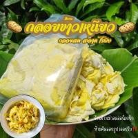 ราคา กลอยข้าวเหนียว กลอยสดอุดรธานี ไม่เมา ไม่คัน 1 กิโลกรัม (22274310098)