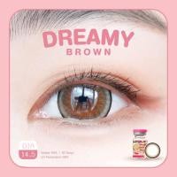 ราคา คอนแทคเลนส์ ขนาดบิ๊กอาย Brown Gray Dreamy Kittykawaii (18051569392)
