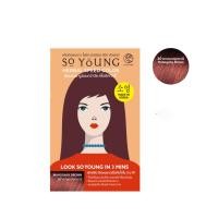ราคา So Young HERBAL SPEED COLOR ครีมปิดผมขาว โซยัง เฮอร์เบิล สปีด คัลเลอร์ 30 กรัม (22568062846)
