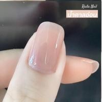 ราคา สีทาเล็บกึ่งเจล เงาพรีเมี่ยม แบรนด์ Rada Nail (16076088069)