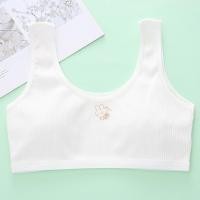 ราคา เสื้อชั้นในสำหรับเด็กผู้หญิงสวมใส่สบายและมีสไตล์ในขนาด 27 ถึง 72 กก (22495207305)