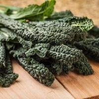 ราคา 50 เมล็ด Kale ผักเคล คะน้าฝรั่ง คะน้าเคล คะน้าใบหยิก ผักสวนครัว ปลูกได้ทุกฤดู Brassica oleracea Seeds (21729750617)