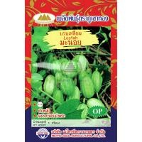 ราคา เมล็ดพันธุ์ บวบเหลี่ยม มะนอย ตราภูเขาทอง บรรจุ 5 กรัม (1218390817)
