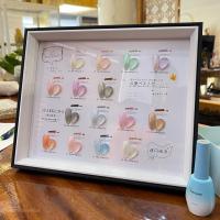 ราคา สีเจล ทาเล็บ Modengni ชิมเมอร์ ชุด15สี กล่องฟ้า ยาทาเล็บเจล ขวดใหญ่15ml แถมชาร์ตตัวอย่างสี (21457589107)