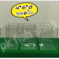 ราคา โหลปลากัด4 6 8 ชุด6ใบ (16123181200)