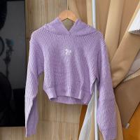 ราคา SpinnyHouse เสื้อครอปไหมพรม เสื้อกันหนาวมีฮู้ด สเวตเตอร์ปักลายโบว์น่ารัก ผ้าไหมพรมยืดเยอะมาก พร้อมส่ง รุ่น ไหมพรมฮู้ด (22965339894)