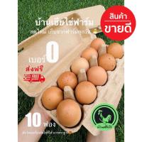 ราคา ไข่ไก่ สดใหม่ สะอาด เบอร์ 0 10ฟอง ส่งฟรี (22306178003)
