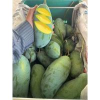 ราคา มะม่วงเขียวสามรส ชุดละ 2 kg หวาน มัน อร่อย (19519186438)