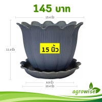 ราคา กระถาง กระถางต้นไม้ มินิมอล ดอกไม้ บิวตี้ จาน ขนาด 15 นิ้ว สีดำ สีขาว สีเทา สีอิฐ สีโอ๊ค (22865519714)