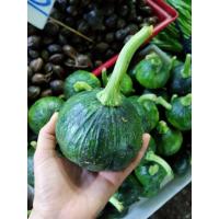 ราคา สดใหม่จากฟาร์ม ฟักทองอ่อน สวยๆ1กิโลกรัม ราคา ถูก ส่ง (21021221667)