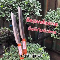 ราคา มีดปอกสัปปะรด มีดตัดใบสัปปะรด มีดใบยาว เหล็กบาง มีดอรัญญิก จ อรัญญิกแท้ อยุธยา (23057012246)