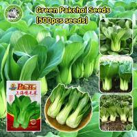 ราคา เมล็ดสด 100 ผักเบบี้ฮ้องเต้ เมล็ดพันธุ์ Green Pak Choi Seeds Organic Vegetable Seeds for Planting กวางตุ้งฮ่องเต้ เมล็ด กวางตุ้ง เมล็ดพันธุ์ ผักกาด กวางตุ้ง ก้านขาว ผักออร์แกนิก เมล็ดพันธุ์ผัก เมล็ดพั