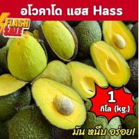 ราคา BB อโวคาโด แฮส Hass 1กิโลกรัม อโวคาโด้พันธ์ุเเฮส Avocado อโวคาโด พันธุ์แฮส อโวคาโด้แฮส แฮสนิวซีเเลนด์ ราชาอโวคาโด อโวคาโด้ อโวคาโด อะโวคาโดสด อโวคาโดสดจากสวนบนดอย เก็บจากสวนทุกวันเน่าเสียรับเคลม อโวคา