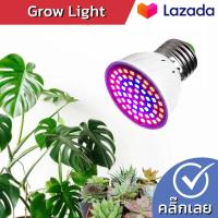 ราคา หลอดไฟ Spectrum Grow Light หลอด LED 80 สีแดงและสีน้ำเงิน (15988866934)