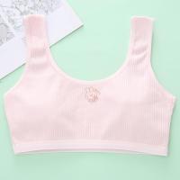 ราคา เสื้อชั้นในสำหรับเด็กผู้หญิงสวมใส่สบายและมีสไตล์ในขนาด 27 ถึง 72 กก (22495207306)