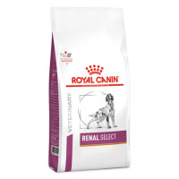ราคา Royal Canin Renal select 10 kg สุนัขภาวะโรคไตเรื้อรัง สูตรเพิ่มความน่ากิน (14121310658)