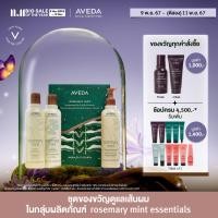 ราคา Holiday Exclusive Set ชุดของขวัญ AVEDA Rosemary Mint Invigorating Hair Body Essentials (23053216603)