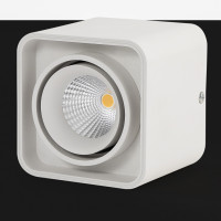 ราคา ตะแกรงสปอตไลท์ไฟ LED สองหัวแบบเปิดดาวน์ไลท์แบบแสงจ้าโคมไฟติดเพดานใช้ในครัวเรือนทรงสี่เหลี่ยมโคมไฟติดเพดาน (16340005921)