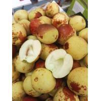 ราคา พุทราชอคโกแลต Size King ตราหัวใจ กล่องสีเขียว 4 kg (20529976125)