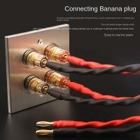 ราคา Connector Banana Wall Plate Banana Plug Binding Post Wall Plate for Home Theater (20616014193)