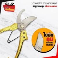 ราคา กรรไกรตัดกิ่ง ขนาด8 นิ้ว กรรไกรตัดแต่งกิ่งไม้ กรรไกรแต่งกิ่ง ปากสแตนเลสโค้ง ด้ามสีทอง กรรไกรแต่งสวน ปากสแตนเลส SOLO รุ่น 5950 (632682069)