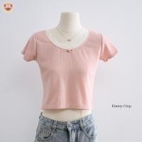 ราคา Emmy Crop เสื้อยืดครอปคอเหลี่ยม เเต่งดอกกุหลาบสีชมพู ดีเทลน่ารัก เเต่งขอบลูกไม้ (22802584629)