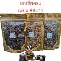 ราคา รวมแมลงอบเเห้ง 100กรัม ยกเซ็ต หนอน จิ้งหรีด สะดิ้ง 3ซอง สุดคุ้ม โปรตีนสูง ไร้น้ำมัน (22829220304)