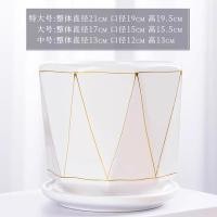 ราคา กระถางดอกไม้เซรามิกขนาดใหญ่พร้อมถาดสร้างสรรค์บ้านขนาดใหญ่พิเศษระเบียงบอนไซปลูกพิเศษกวาดล้าง ศิลปะ เดสก์ท็อป (21590115814)