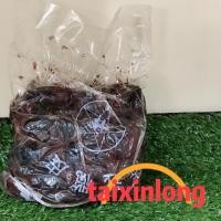 ราคา ต้องลอง Q18หนำเลี๊ยบ 特选榄皮 เนื้อหนำเลี๊ยบ ขนาด500กรัม เนื้อหนำเลี้ยบล้วนๆ แกะเม็ดแล้ว (15790523945)