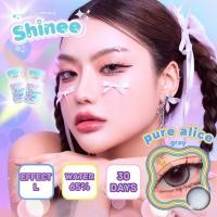 ราคา คอนแทคเลนส์ ขนาดบิ๊กอาย Pure alice Brown Gray Shinee (20781069655)