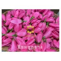 ราคา ดอกจำปา ดอกจำปี จำปี จำปา ดอกไม้ปลอม (20865673175)