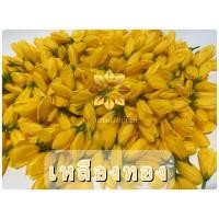ราคา ดอกจำปา ดอกจำปี จำปี จำปา ดอกไม้ปลอม (16629351416)