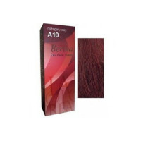 ราคา Berina เบอริน่า เซตสีย้อมผม A1 A20 (21428053203)