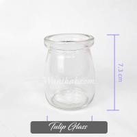 ราคา หัวทิวลิป Mix คละสี Wanthai ขายหัวลิลลี่ ดอกทิวลิปปลูก ไฮยาซิน ทิวลิป หัวดอกทิวลิป (21836323722)