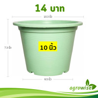 ราคา กระถาง กระถางต้นไม้ กระถางพลาสติก เบอร์ 11 10 นิ้ว สีเขียว สีอิฐ สีทอง สีชมพู สีเหลือง Bundle 50 ใบ ชิ้น อัน (22713212324)