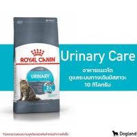 ราคา กระสอบ Royal Canin Cat อาหาร แมว 10 กิโล (22647464016)