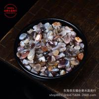 ราคา หินกรวดโมราอ่าวเปอร์เซียธรรมชาติลายสีเทาโมราคริสตัล Demagnetized ถังปลาหินเครื่องนอนเครื่องประดับการตกแต่งกระถางต้นไม้ Junwu (20728048490)