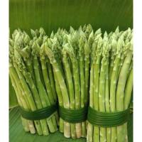 ราคา สดจากฟาร์ม หน่อไม้ฝรั่ง สดๆ สวยๆ 1กิโลกรัม ราคาถูก ที่สุด ราคาส่ง (21417780518)