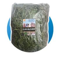 ราคา หญ้าถั่วคาวาเคด 1 kg โปรตีนพิเศษของโปรดกระต่าย หนูแกสบี้ สัตว์ฟันแทะ ส่งเร็ว (20087069917)