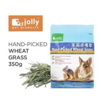 ราคา Jolly Hand Picked Wheat Grass หญ้าวีทกราส ต้นข้าวสาลีอ่อน สำหรับกระต่าย ชินชิล่า และแกสบี้ 350g JP219 ส่งไว (19561247332)
