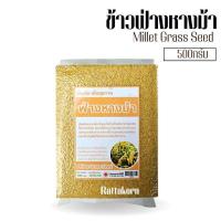 ราคา ข้าวฟ่างหางม้า Millet Grass Seed ธัญพืช ทำขนมทำอาหารคาวหวาน (22098290929)