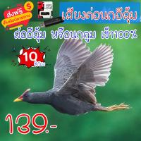 ราคา เสียงต่อนกอีลุ้ม นกตูม แฟลชไดร์ฟเสียงนกอีลุ้ม สำหรับต่อหรือล่อนกอีลุ้ม ความยาว 10 ชม เสียงดัง เสียงใสกังวาน ได้ผล100 (21409514450)