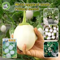 ราคา ปลูกง่าย เมล็ดมะเขือไข่เต่าขาว High Yield White Eggshape Eggplant Seeds Round Eggplant Seeds Vegetable Seeds มะเขือเปราะ เมล็ดพันธุ์มะเขือไข่เต่า พันธุ์ผัก เมล็ดผัก ผักสวนครัว บอนไซ เมล็ดพันธุ์ผัก Egg