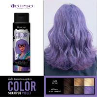 ราคา Dipso ดิ๊พโซ่ คัลเลอร์ แชมพู 250 มล แชมพูเพิ่มประกายสีผม (21458199784)