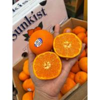 ราคา ส้มรวมหลายสายพันธุ์ ส้มจุกส้มเอฮิเมะเนื้อเยลลี่ส้มไต้หวันส้มออสเตเรีย 1 กิโลกรัม (23091008717)