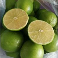 ราคา มะนาวไร้เมล็ด ทูลเกล้า น้ำเยอะ 1 kg (23000260872)