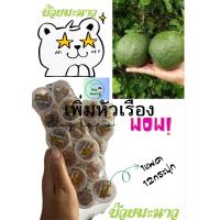 ราคา บ๊วย บ๊วยมะนาว เปรี้ยวเค็มบ๊วย 1แพค 12กระปุก (21675755807)